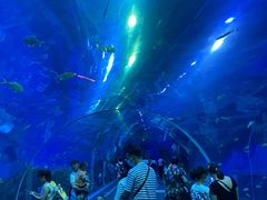 -成都浩海立方海洋公园