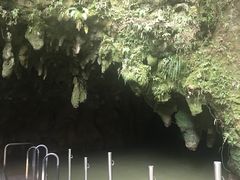 -怀托摩萤火虫洞