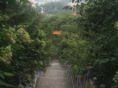 -青岛崂山太清宫