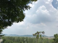 -上海市保健医疗中心(华东疗养院)