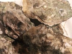 -星伦多自助料理·涮烤一体(嘉兴八佰伴店)