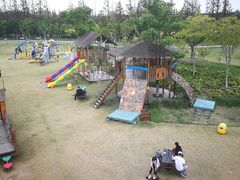 -上海长兴岛郊野公园