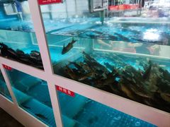 -石锅苗苗鱼(武汉首店)