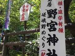 -野宫神社