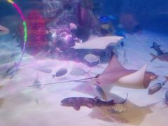 -沈阳海洋探索中心