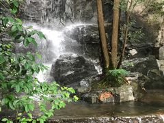 -天目湖山水园