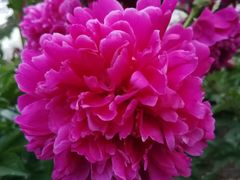 -长春公园(普阳街道)