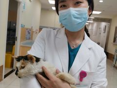 -美联众合动物医院·24h京西诊疗中心