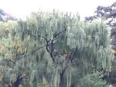 -香山公园-东宫门售票处