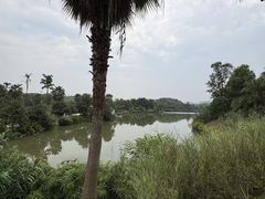 -枫香湖儿童公园