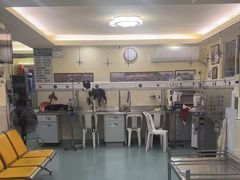 -动物缘宠物医院·骨科·猫科(西二环店)