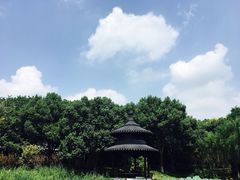 -天目湖山水园