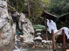 -明月山天沐温泉度假村