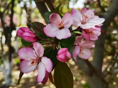 -元大都城垣遗址公园