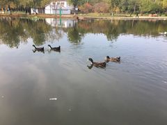 -前关湿地公园