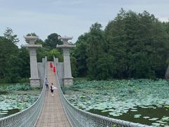 -东湖落雁景区