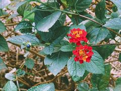 景点-福清灵石山国家森林公园
