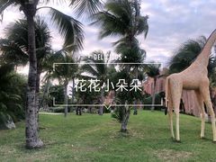 -芽庄珍珠岛游乐园