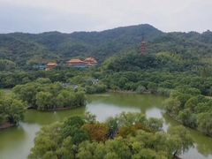 -天下玉苑