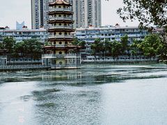 -宝岛公园