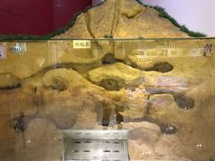 -上海昆虫博物馆