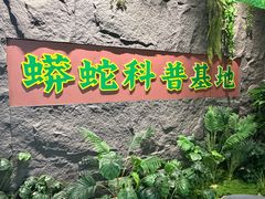 -呀诺达热带雨林
