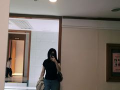 -圣爵菲斯大酒店(长沙世界之窗店)