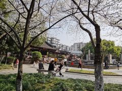 -运河游船(武林门码头)