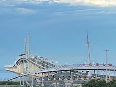 -港珠澳大桥(珠海段)