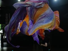 -成都许燎源现代设计艺术博物馆