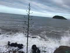 -漳州滨海火山岛自然生态风景区