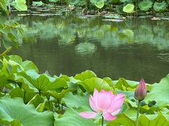 -雀儿山公园