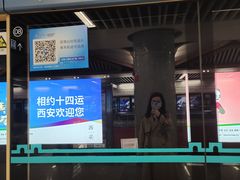 -回坊马二饺子馆