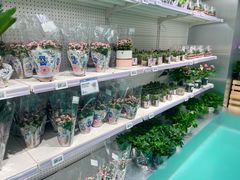 -盒马X会员店(上海森兰商都店)