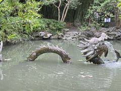 -汇龙潭