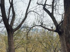 -元大都城垣遗址公园