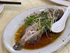 石斑-老字号蛇口德记烧腊饭店·海鲜加工