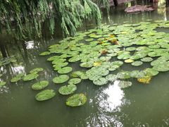 -高子水居