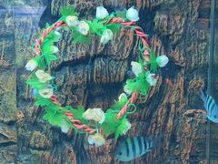 -北戴河圣蓝海洋公园