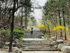 -周口店北京人遗址公园