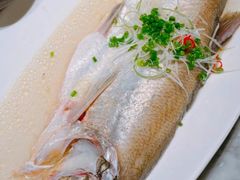 -苏帮袁Sue Cuisine(将台店)