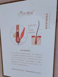 -熙朵美学植发·连锁品牌