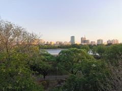 -莲花池公园