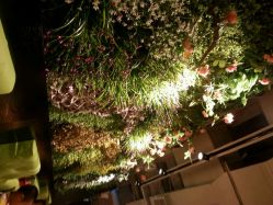 android_upload_pic-香草美匙