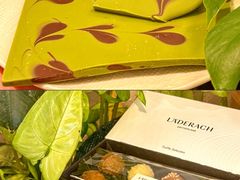 -Laderach 莱德拉(上海环贸iapm店)