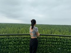 -黄海国家森林公园