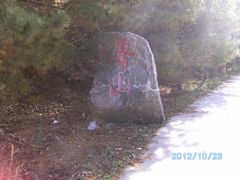 -鲁山国家森林公园