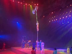 -重庆国际马戏城