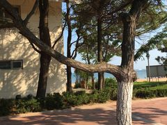 -青岛第三海水浴场