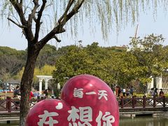 -上海鲜花港